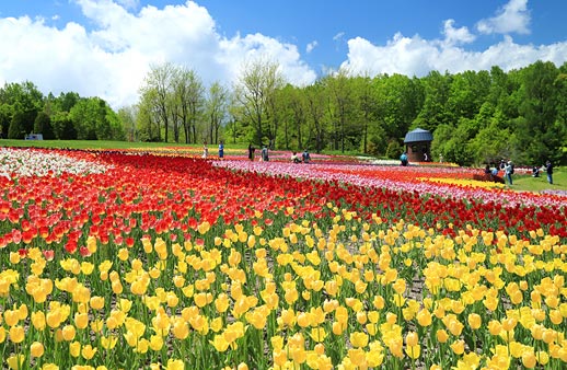 國營瀧野鈴蘭丘陵公園